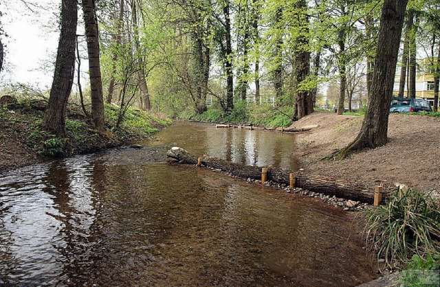 Baumstmme als Strmungslenker im Mhlbach bei Umkirch.   | Foto: Privat