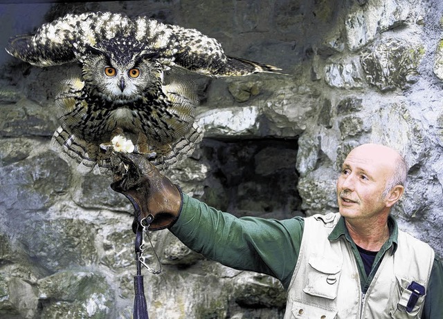 Tierpfleger Hubert Rossa mit einem der...f die Faust des Tierpflegers setzen.    | Foto: Edinger