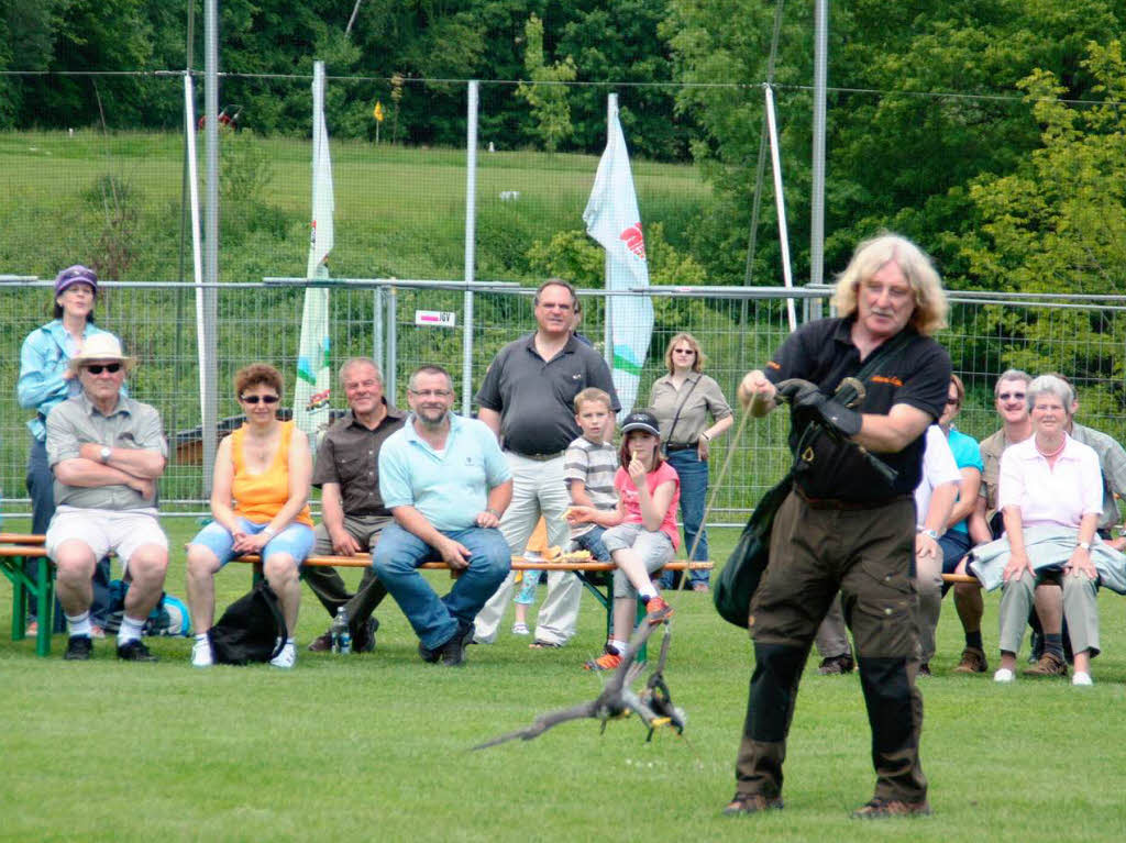 In groer Vielfalt wurden Greifvgel und deren Flugknste prsentiert.