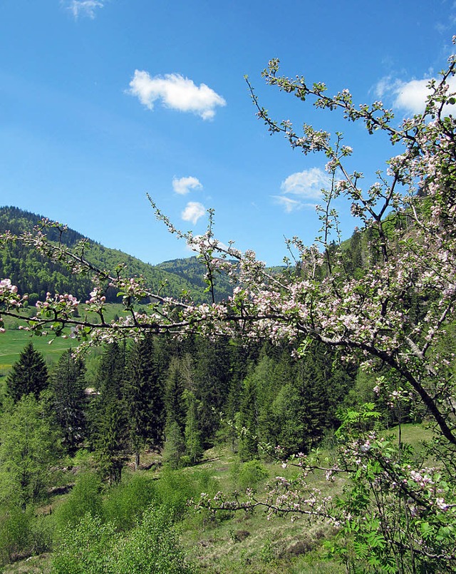 Ein Frhlingstipp fr Romantiker und N...ist der Herzogenhorngipfel zu sehen.    | Foto: Susanne Filz