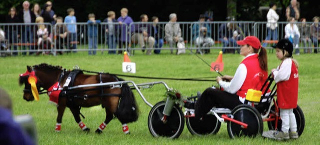 Das  Falabella-Pony aus der Schweiz ze...erdes ist ein internationaler Anlass.   | Foto: Nikolaus Trenz