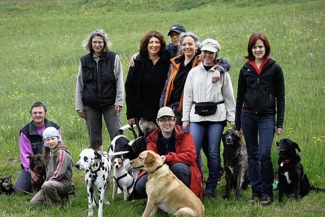 Hundewetter und Hundesport