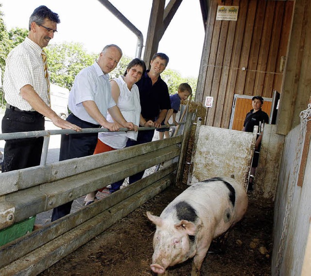 Immerhin die Schweinehaltung sorgt auf... ein stabiles finanzielles Standbein.   | Foto: heidi fssel