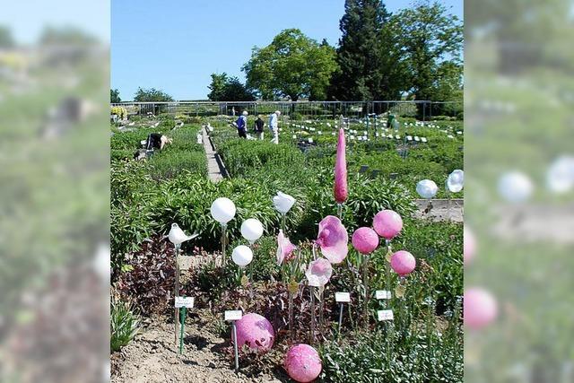 Hhepunkt im Gartenjahr