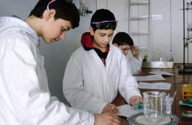 Experimentieren: Lrracher Realschler...kurs in der Gewerbeschule Rheinfelden   | Foto: BZ