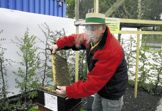 Hobbyimker Jrg Rapp vom Bienenzuchtve...s Stumpen hlt die Bienen von ihm ab.   | Foto: Helene Wiesendanger