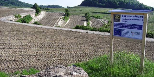 Jngst wurden die letzten Reben im  fl...Gewann Ebnet in Oberrotweil gepflanzt.  | Foto: benjamin bohn