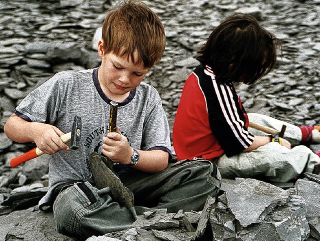 Ob in dem Stein wohl ein Fossil steckt?   | Foto: Becker/BZ