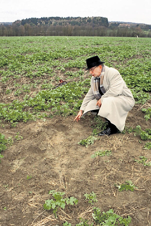 Auf einem Acker bei Oberlauchringen wu...rper im Erdreich hinterlassen hatte.    | Foto: Gerard