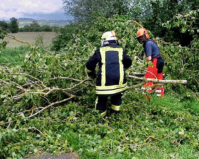 Freisgen musste die Feuerwehr die ehemalige Kreisstrae nach Ringsheim.   | Foto: Feuerwehr