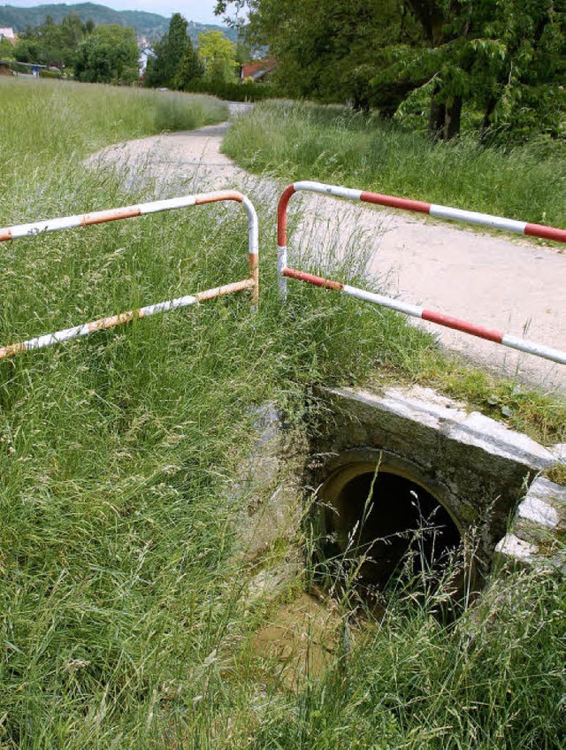 bergang des eines Entwsserungsgraben...nagesammelnetz des Siedlungsgebietes.   | Foto: Nikolaus Trenz