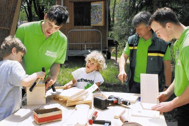 Holz – Einblicke in einen besonderen Rohstoff