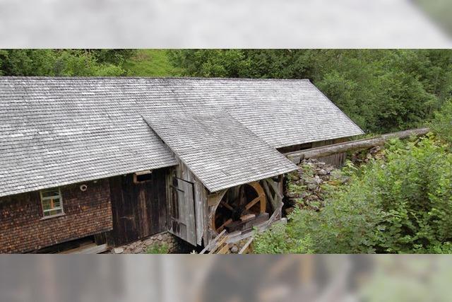 Lrchenschindeln frs Klopfsgedach