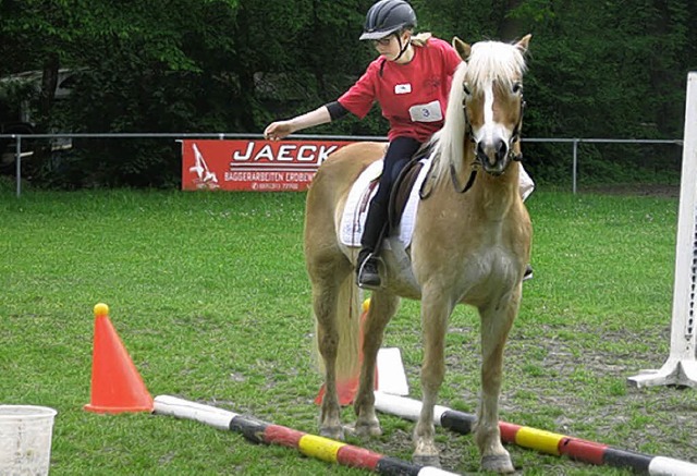 Pferd und Reiter als Team   | Foto: Privat