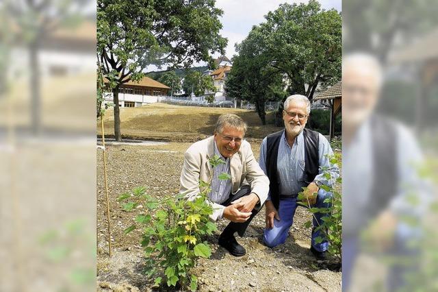 Die Natur soll wieder Einzug halten