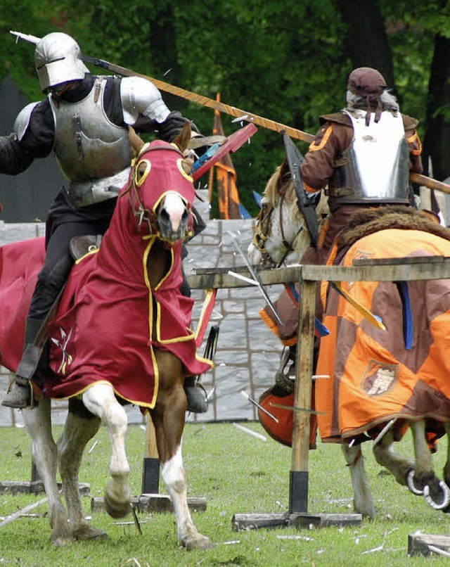 Neu beim Mittelalterfestival: Ritterturnier zu Pferde   | Foto: MPS