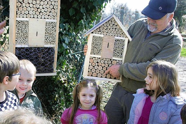 Einladung zum Bau von Wildbienenhotels