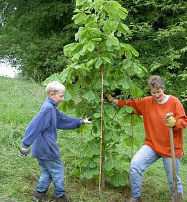 Einen Baum als CO<BZ-Texttief>2</BZ-Texttief>-Senker pflanzte der Klimaverein.   | Foto: Privat