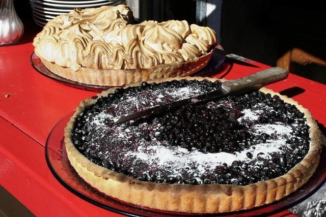 Lac Noir bei Orbey: Blaue Beeren am schwarzen See