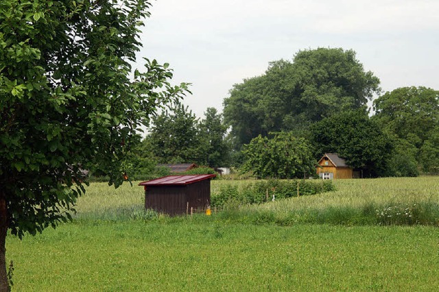 Interesse am Erhalt der Natur: Die Lan...ich zur Pflege der Natur gemeldet.      | Foto: Ilona Hge