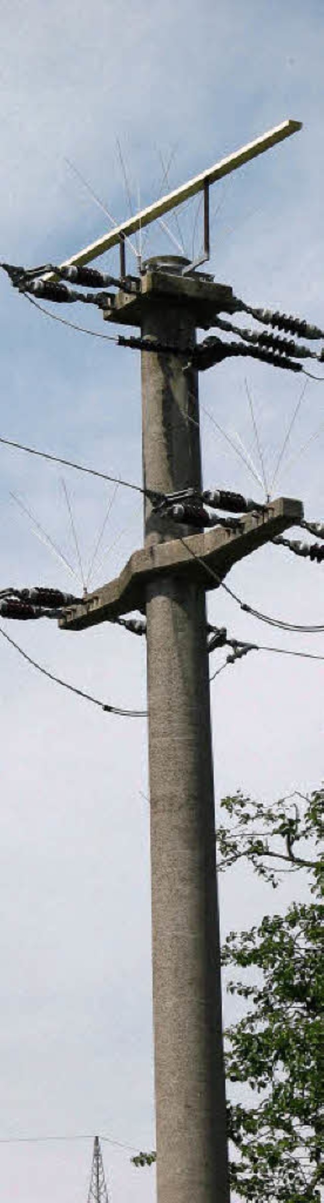 Die EnBW versucht, ihre Strommasten du...ier steht in der Nhe von Tannenkirch.  | Foto: SChtz