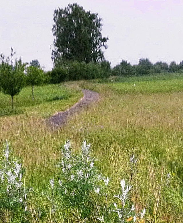 Der Wirtschaftsweg zur Kreisstrae soll fr die Radfahrer  befestigt werden.   | Foto: D. Fink