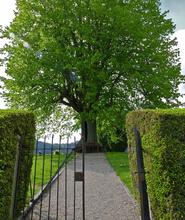 Etwas in die Jahre gekommen ist das T...der Lage, ein neues Tor anzuschaffen.   | Foto: Sonja Eiche