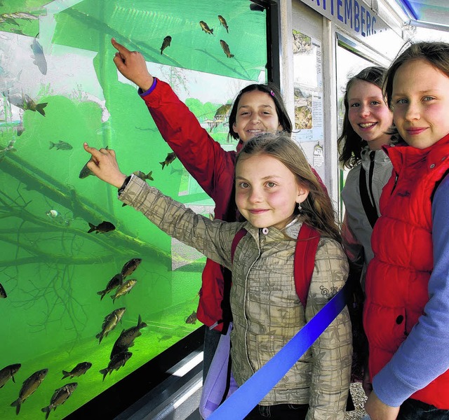 Unterricht auf der Landesgartenschau: ...lernen die Fische des Neckars kennen.   | Foto: burkard