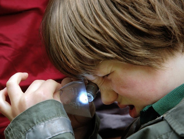 Moritz (7) schaut sich einen Hakenkfer unterm Outdoor-Mikroskop an.  | Foto: hupka