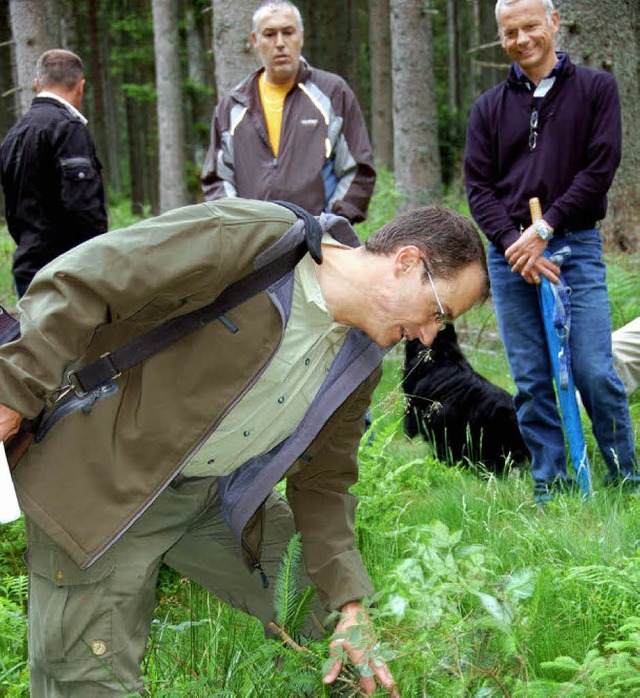 Der Wildverbiss stellt im Stadtwald ei...ommunalpolitikern die Verbissschden.   | Foto: Juliane Khnemund