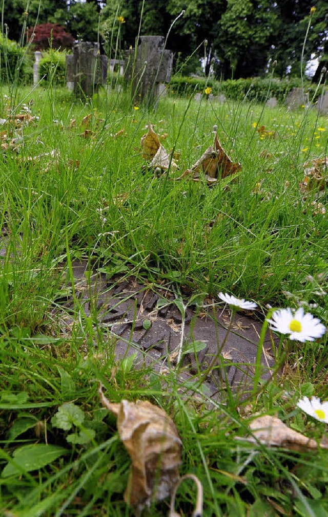 Schwer auszumachen: Auf dem Kriegsgrb...Gras die Namensplatten langsam  ein.    | Foto: ingo schneider