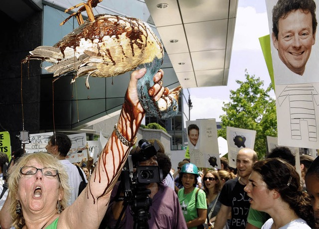 Protest vor der BP-Zentrale in Washing...Die Wut ist echt, der  Seevogel nicht.  | Foto: DPA/AFP