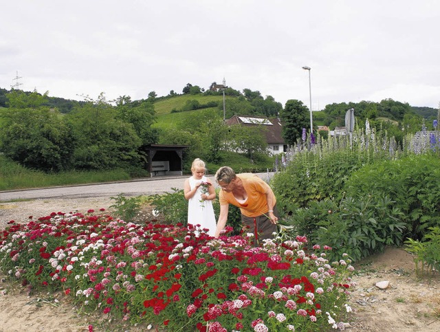 Wo im Moment noch Blumenfelder am west... Birndorf und Birkingen bieten soll.    | Foto: Dinort