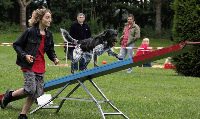 Agility ist eine der Disziplinen, die ...ag der offenen Tr prsentiert wurde.   | Foto: Sandra Decoux-Kone