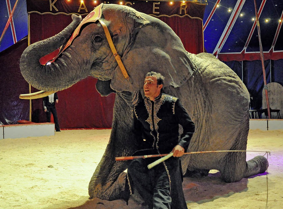 Elefantendame Sahra ist beim Publikum beliebt.   | Foto: Barbara Ruda