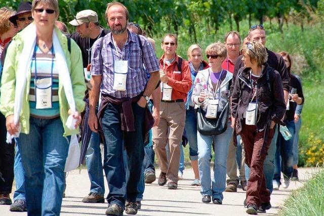 Fotos: Kulinarische Weinwanderung in Oberrotweil