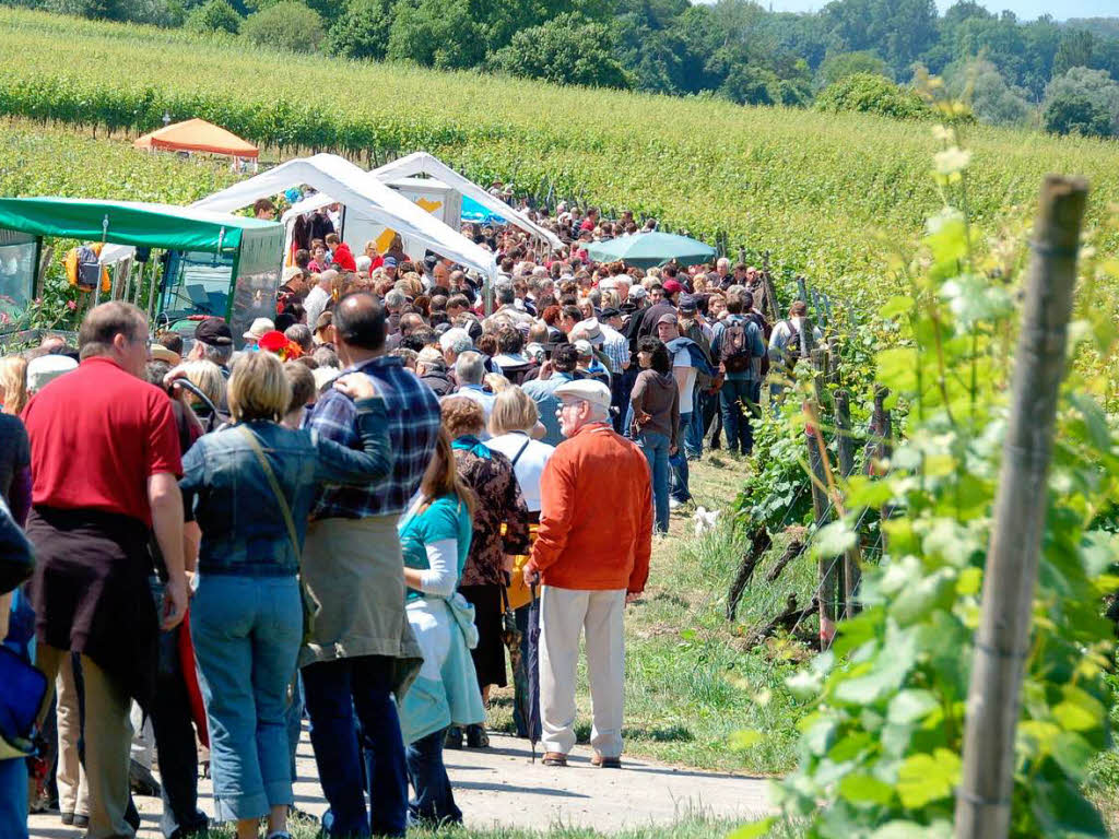 Impressionen von der kulinarischen Weinwanderung in Oberrotweil Impressionen von der kulinarischen Weinwanderung in Oberrotweil