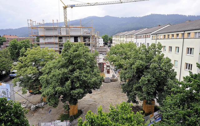 Ein Beispiel fr stdtische Nachverdic...r ehemalige Parkplatz am Sandfangweg.   | Foto: Ingo Schneider