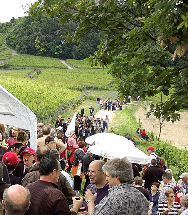 Zwischen Weg und Ziel gab es auch noch...instimmten. Bello trug es mit Fassung.  | Foto: benjamin bohn