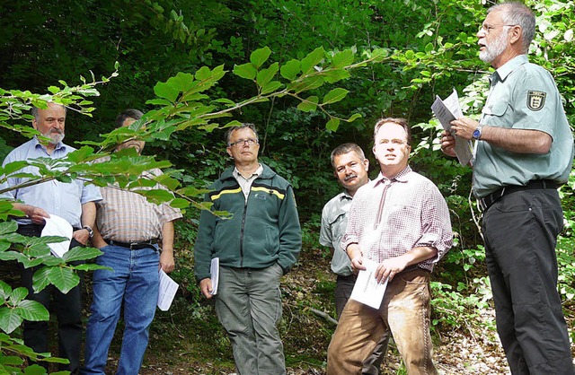 Oberforstrat Harald Thomann (rechts) i...er den Zustand des Seelbacher Waldes.   | Foto: Reiner Beschorner