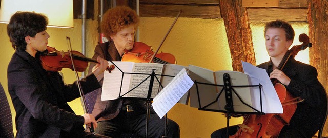 Musik von Ludwig van Beethoven spielte... Weingut Gleichenstein in Oberrotweil.  | Foto: kai kricheldorff