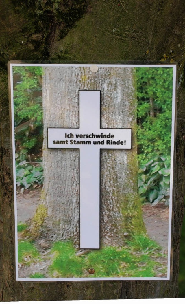 Protestplakat gegen das Abholzen alter Bume in Bhl.   | Foto: Siefke