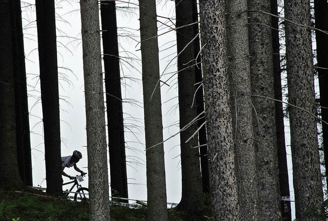 Waldmeister gesucht: Der RSV Hochschwa...Mountainbike-Tlercup ein Rekordfeld    | Foto: ruoff