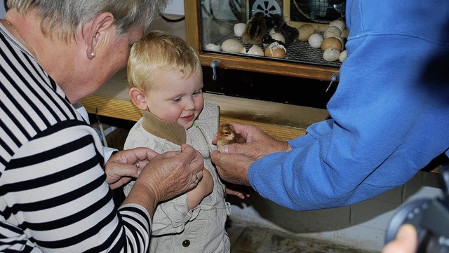 Ein Bibili! Vor allem fr Kinder, wie ... Fest der Umkircher Kleintierzchter.   | Foto: axel drber