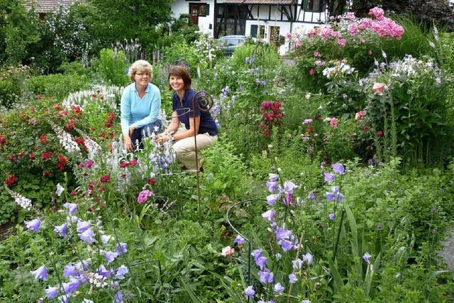 Gartenwettbewerb: Romantik in einem harmonischen Naturpark