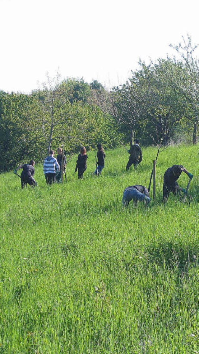 Viele Wiesen am Tllinger stehen unter Schutz und werden entsprechend gepflegt.   | Foto: Truz