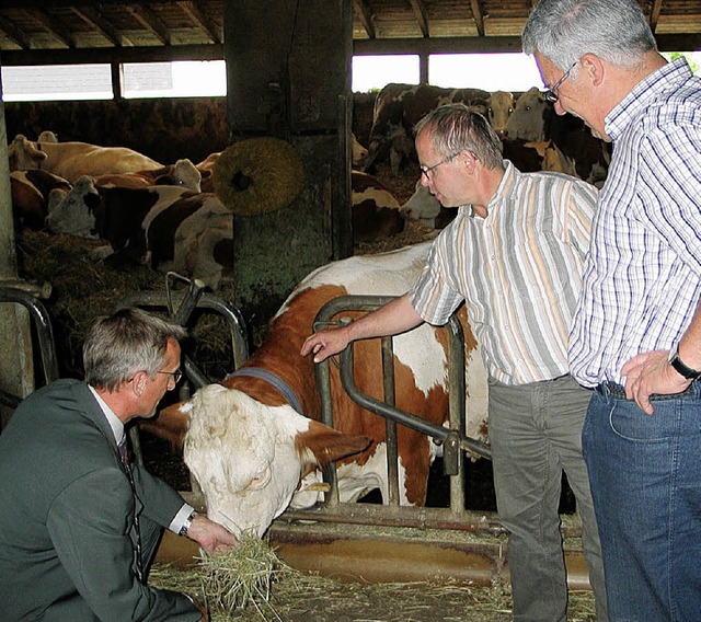 Armin Schuster, Heinz Kaufmann und Albert Zimmermann  | Foto: Jutta Schtz