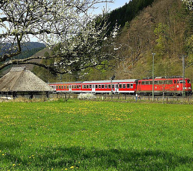 schwarzwaldbahn vogtsbauernhof  | Foto: vogtsbauernhof