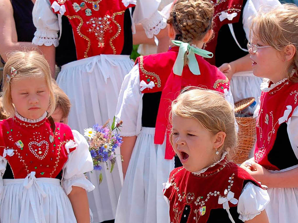 Ein bunter Festumzug mit Musik- und Trachtengruppen krnte am Sonntag das Fest im Rickenbach.