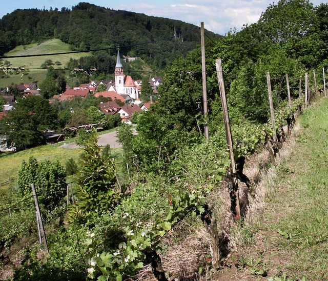 Weinreben, Wiesen an den Steilhngen u...rade von Touristen so geschtzt wird.   | Foto: Frank Kiefer